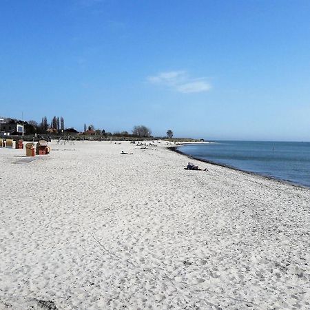 Fewo Muschelgetuschel Im Prinz Hamlet - Direkte Strandlage بيلزيرهاكين المظهر الخارجي الصورة