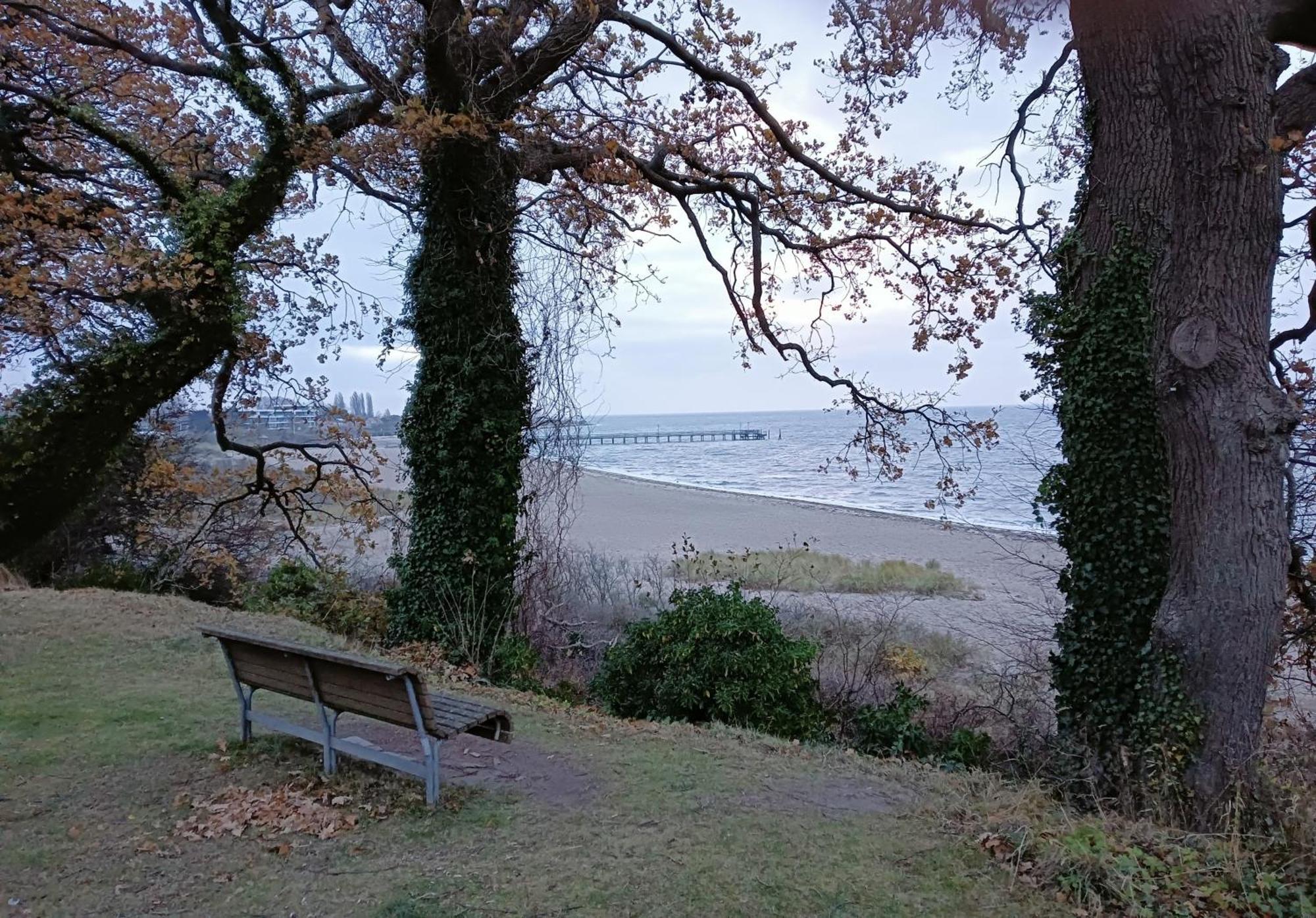 Fewo Muschelgetuschel Im Prinz Hamlet - Direkte Strandlage بيلزيرهاكين المظهر الخارجي الصورة